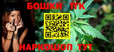 МДПВ Кингисепп