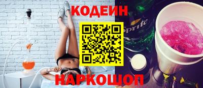 МДПВ Кингисепп