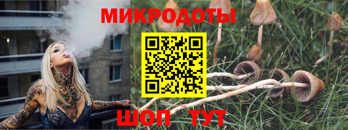 Электрогорск  Галлюциногенные грибы GOLDEN TEACHER  Вход с VPN 